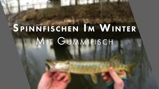 Spinnfischen im Winter - mit Gummifisch