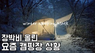 SUB)Korean Winter Solo Camping ASMR