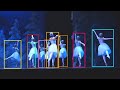 DanceTrack: a new benchmark for multi-object tracking