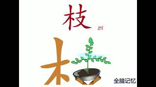 幼儿识字-枝 Learning Chinese Character-branch