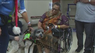 Therapy dogs go on parade at Austin hospital