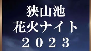 家族で狭山池に久しぶりに行きました。打ち上げ花火してました。