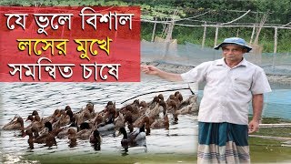 যে ভূলে সমন্বিত হাস চাষ এবং মাছ চাষে বিশাল লসের মুখে ইসমাইল ভাই।duck and fish cultivation