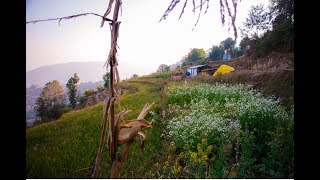 Nagarkot | Nature walk and Panoramic Hiking Trail