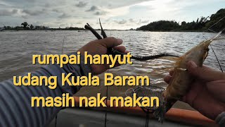 walaupun rumpai hanyut udang Kuala Baram masih nak makan yang penting air tak sejuk