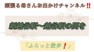 頑張る母さんお出かけチャンネル‼️「新越谷駅から越谷駅の間を歩いてみました❗」#2023年2月2日#越谷市 #頑張る母さんお出かけチャンネル