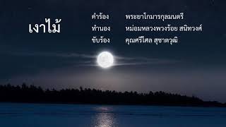 เงาไม้  ศรีไศล สุชาตวุฒิ