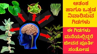 ಆತಂಕ ಮತ್ತು ಒತ್ತಡ ನಿವಾರಿಸುವ ಗಿಡಗಳು ಇವು ಮನೆಯಲ್ಲಿದ್ದರೆ ಅನಾರೋಗ್ಯದ ಮಾತೇ ಇಲ್ಲ Anxiety Stress Relief Plants