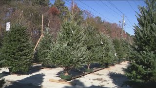 Atlanta ranks top place for Christmas