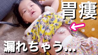 【4pマイナス症候群】ピナちゃんと、ちぇなちゃんと過ごす休日。