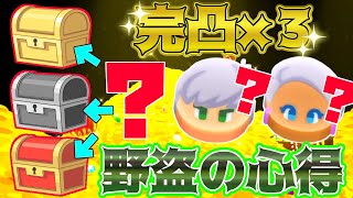 〖完凸×３〗「野盗の心得」をどうしても救いたい男は最後に衝撃の結果を知って・・・【ドラゴンクエスト けしケシ！】【ドラけし】【けしケシ】