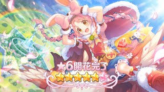 [プリコネR] ミミ ６星 開花 QUEST [프리코네 R ] 미미 6성 개화 퀘스트