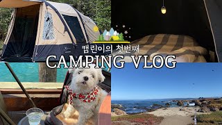 인생 첫 캠핑 브이로그🏕 | 미국 캠핑 / 직구한 에어텐트 개봉 / 북캘리포니아 프라이빗 캠핑장 추천 / 힐링여행🌲 MY FIRST CAMPING VLOG✌🏻