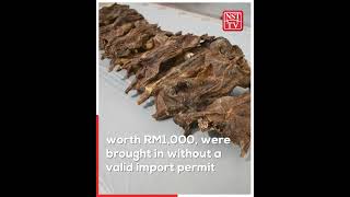 Maqis seizes smoked rats from Vietnam