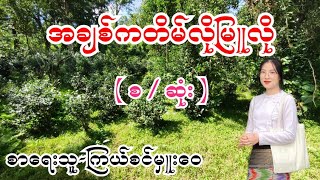 အချစ်ကတိမ်လိုမြူလို ( စ / ဆုံး ) စာရေးသူ-ကြယ်စင်မှူးဝေ