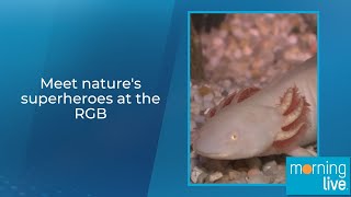 Meet nature's superheroes at the RGB