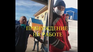 Принуждение к этому на работе / Сергиенко и Малиновский  - прихвостни режима