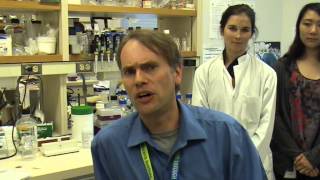 Dr. Torsten Nielsen , Synovial Sarcoma Research