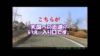 秋蛇星探検隊 裏神戸ミステリーバスツアー!「神戸で今最も熱く天国へ近い秘密の場所へあなたをお連れ致します！」