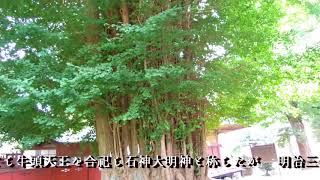 170903荻野神社大銀杏