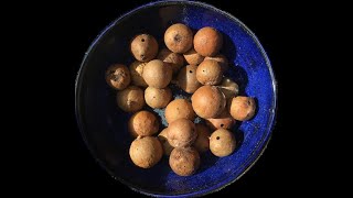 How to make oak gall ink by David Begley