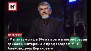 «МЫ ЗНАЕМ ЛИШЬ 5% ИЗ ВСЕГО МНОГООБРАЗИЯ ГРИБОВ». ИНТЕРВЬЮ С ПРОФЕССОРОМ МГУ АЛЕКСАНДРОМ КУРАКОВЫМ