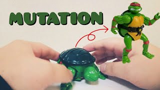 【TMNT トイ】タートルズ 亀状態からタートルズへミューテーション(変形)させるだけの動画  TMNT toys mutation