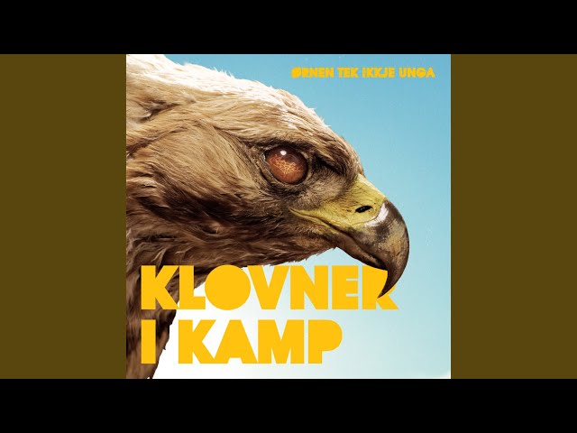 Glade Dager Fonzie Gladiolus Novalux Pflanze Pflege Tipps