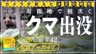 【相次ぐクマ出没】札幌や室蘭で市街地に出没するクマ　その決定的瞬間をカメラが捉えた！　北海道ニュース24weekend #42　5月26日（金）配信アーカイブ