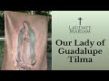 Our Lady of Guadalupe Tilma