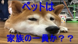 ペットは家族の一員なのか？