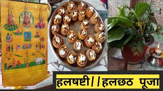 Halshashthi puja//हलछठ//हलषष्टी पूजा‌//aap log manate hai halchhath puja??