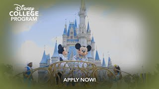 Discover the Disney College Program