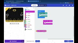 Programming 2 external buttons (P0, P1) for Micro:Bit on MakeCode