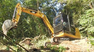 Mini Excavator CAT 305.5E2 And Chainsaw Logger Making A New Road