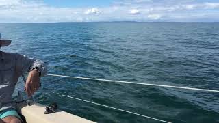 Farr 6000 Moreton bay