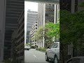 driving downtown vancouver 加拿大温哥华街景 礼让斑马线 文明交通 繁华都市