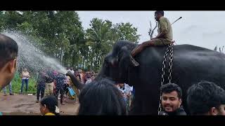 SAKREBYLE ELEPHANT CAMP (2023): Timings, entry fee, Elephant bathing, boat ride, APPU ELEPHANT #appu