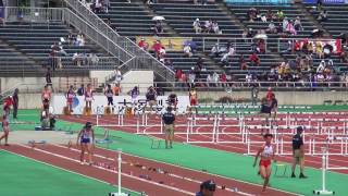 2017年 陸上競技 男子110H 予選 1