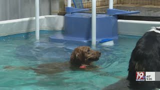 Dog Pool Facing Closure | December 28, 2024 | News 19 at 9 p.m. - Weekend