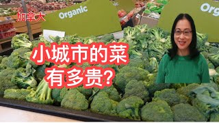 留学移民加拿大|加拿大小城市菜有多贵？中国蔬菜不新鲜，品种少。需要更多董菜菜@DongCaicai 。来种中国菜一定赚钱。Cost of grocery in a small city