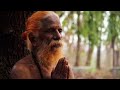 top siddha medicine for common diseases nattuvaidyam grihavaidyam for all diseases