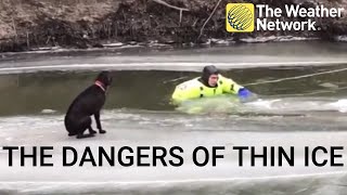 What to do if your pet falls through thin ice
