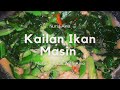 Cara Memasak Kailan Ikan Masin