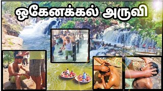 🥰ஒகேனக்கல் அருவி🔥/2023/ Hogenakkal falls/oil massage/சுற்றுலா தலம்