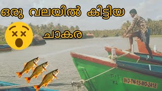 ഒരു വലയിൽ കിട്ടിയ ചാകര 😇😇#fishing #fish #casting #funny #funny