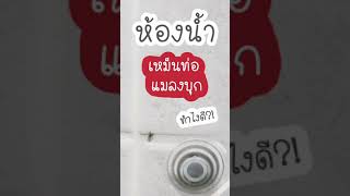 ห้องน้ำเหม็นท่อ แมลงบุก! รีวิวซิลิโคนกันกลิ่น-แมลง  [รีวิวซื้อของจาก Shopee]