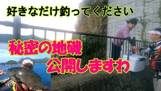 【和歌山釣り】グレが釣れる地磯の場所教えますわ