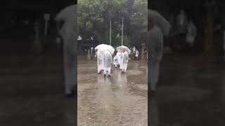 20170917-101 やわたんまち 神明町 今日も雨