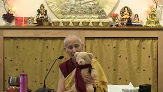 Learn How to Take Refuge with Buddha Bear